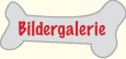 Bildergalerie