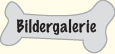 Bildergalerie